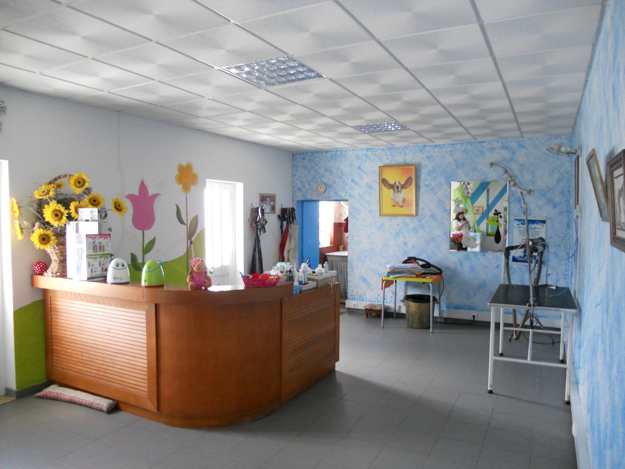 Chatuska Pet Hotel