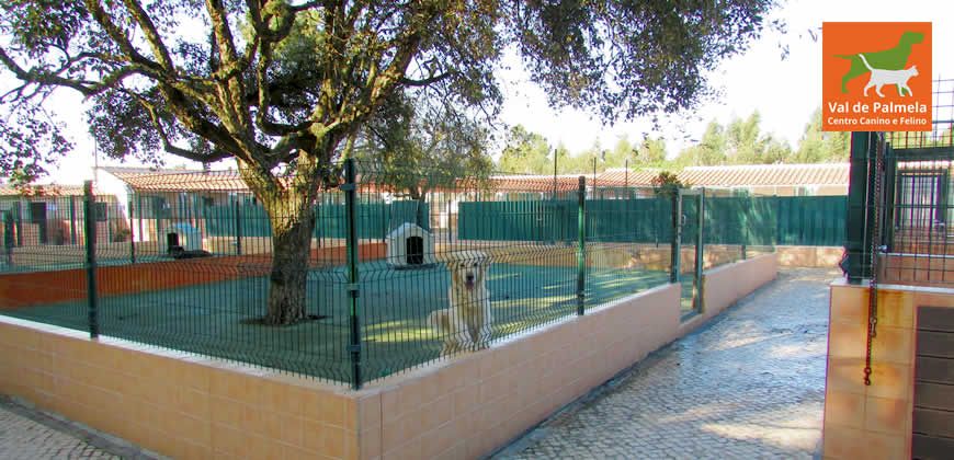 Centro Canino e Felino Val de Palmela