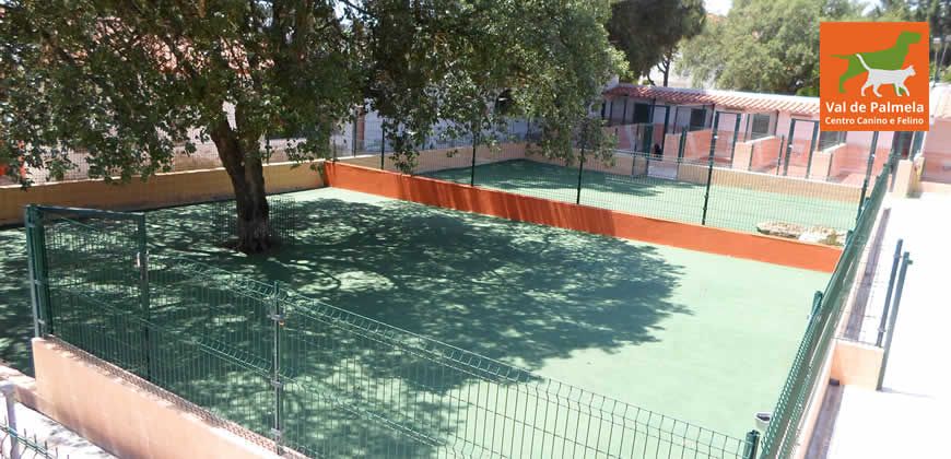 Centro Canino e Felino Val de Palmela