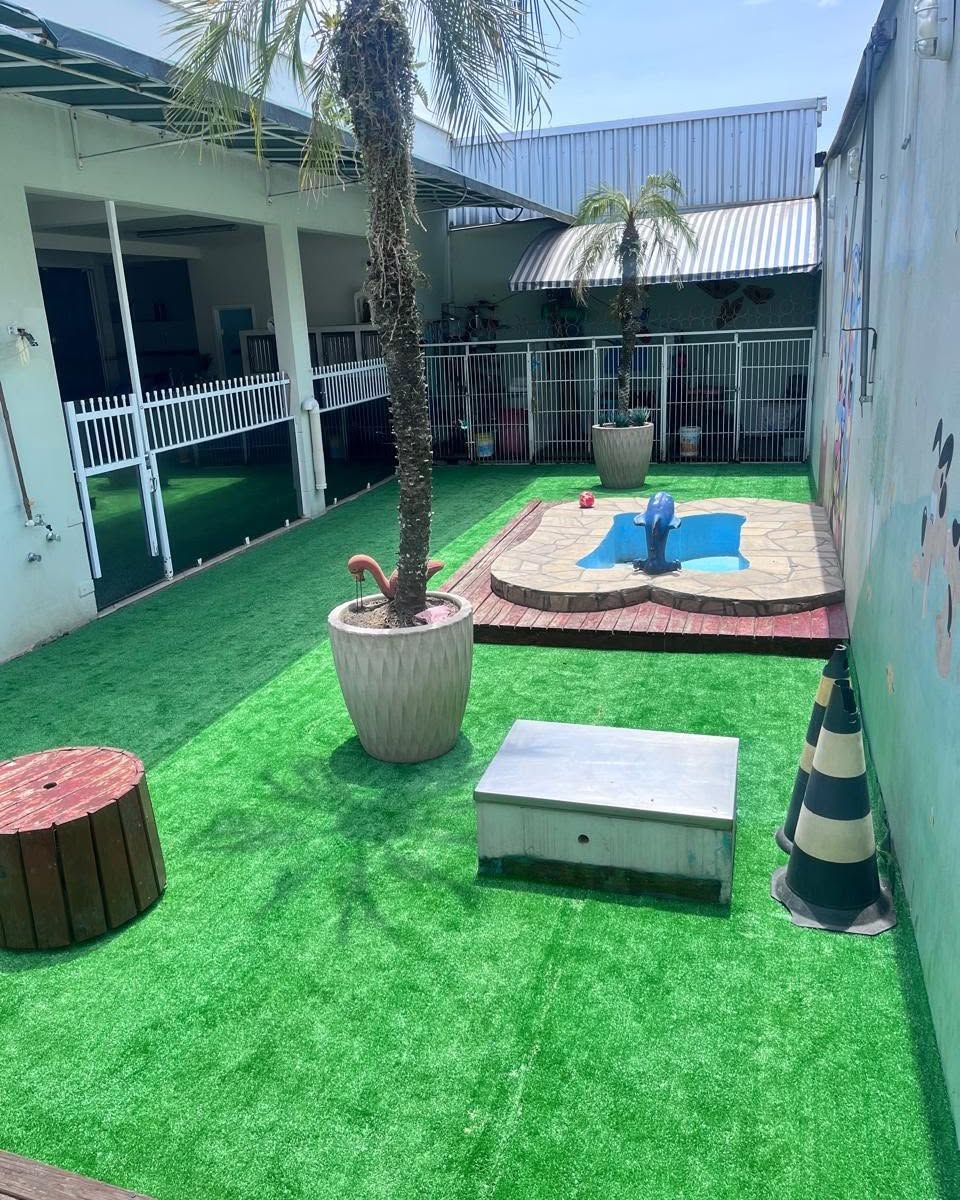 Paraíso Canino