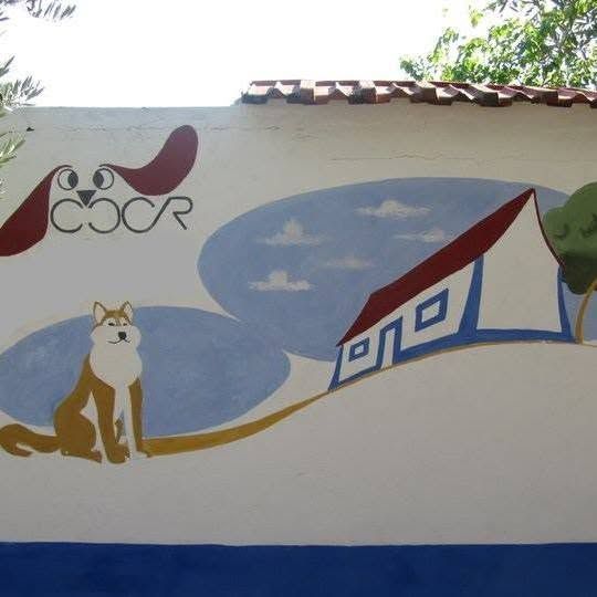 Hotel Canino dos Campos da Rainha