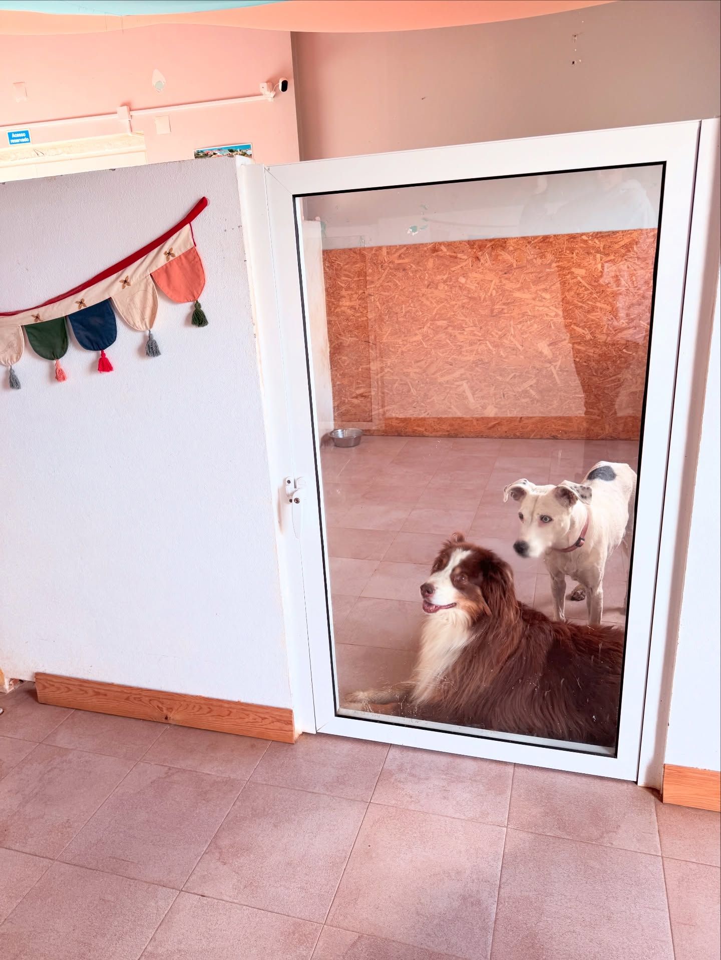 Dog Hostel Peniche