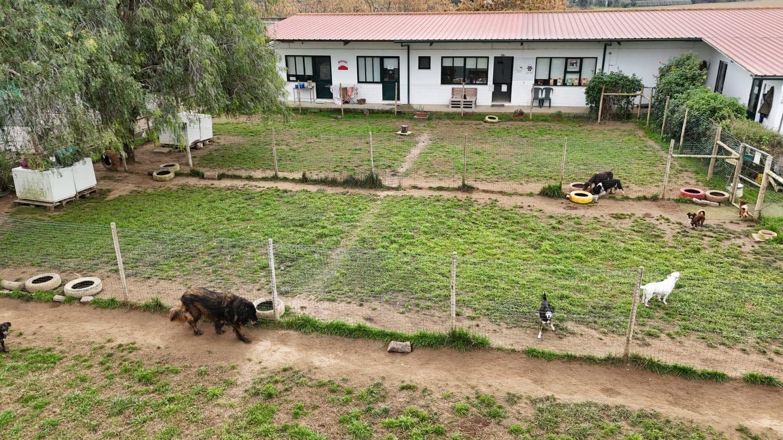 Hotel Canino "Nobel Cannis"
