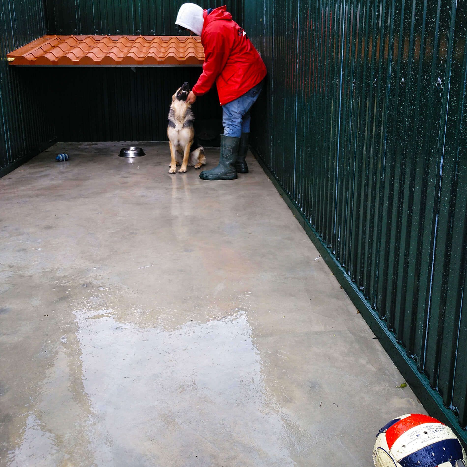 mosanto-pet-1