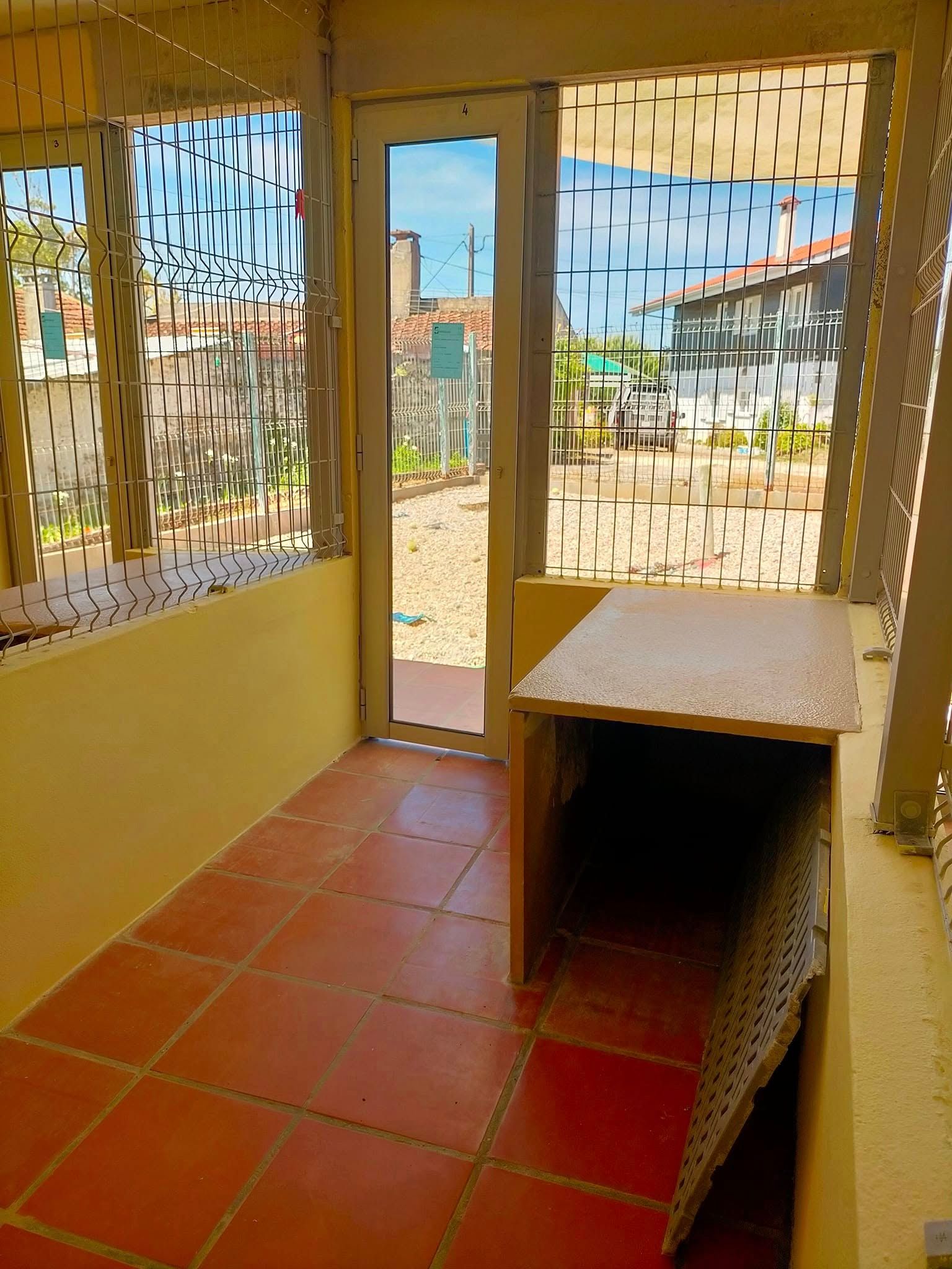 Hotel canino Canil Alto de São Miguel