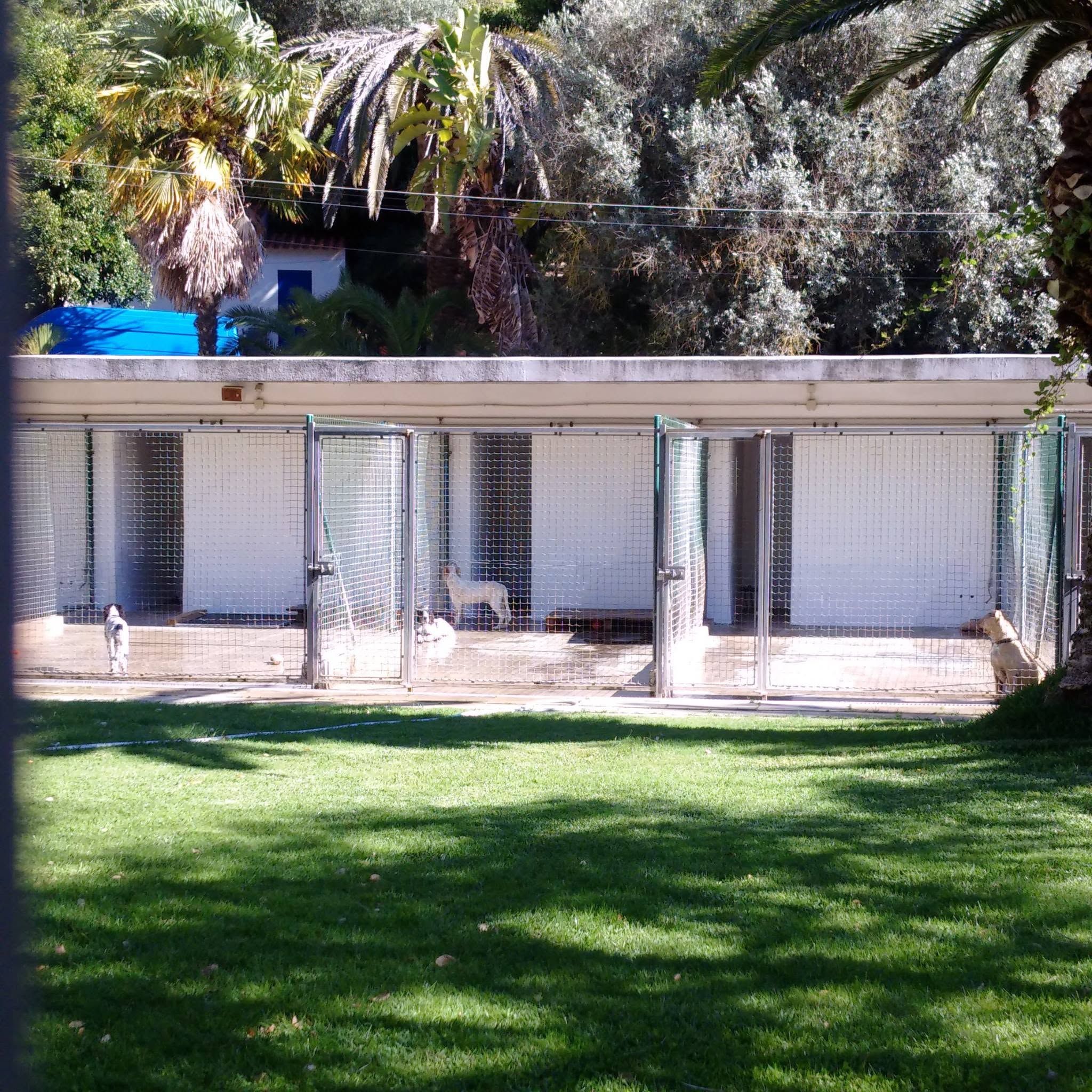 Hotel Para Cães - Quinta das Patinhas
