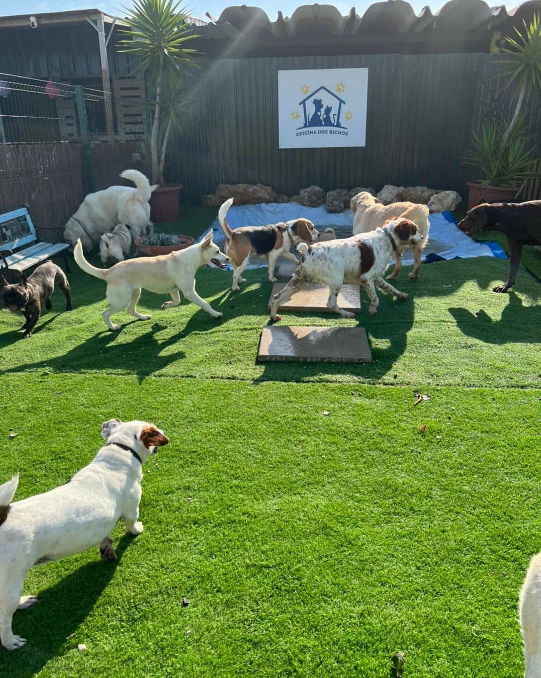 Oficina dos bichos , Hotel de animais