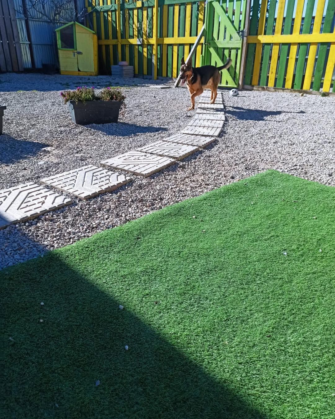Oficina dos bichos , Hotel de animais