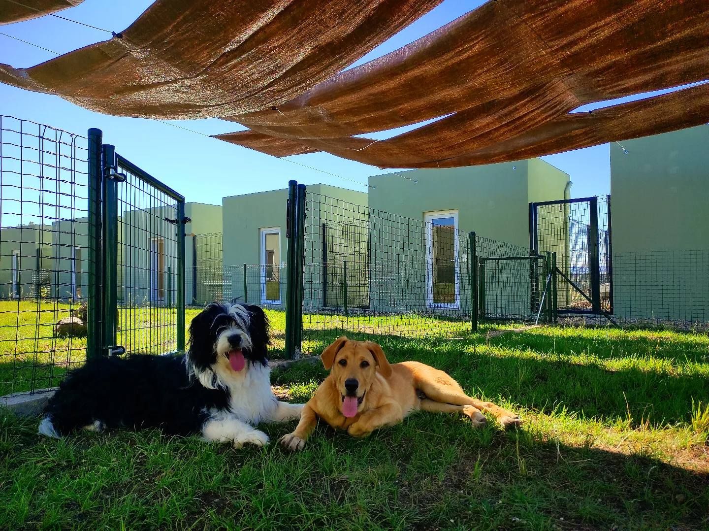 Quinta dos Pomares - Pet Care