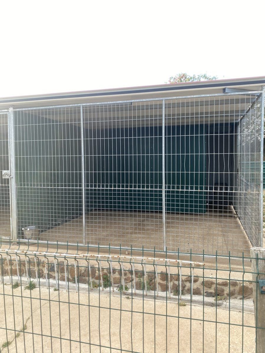 Quinta da Patada Canine Hotel and Dog Owners School