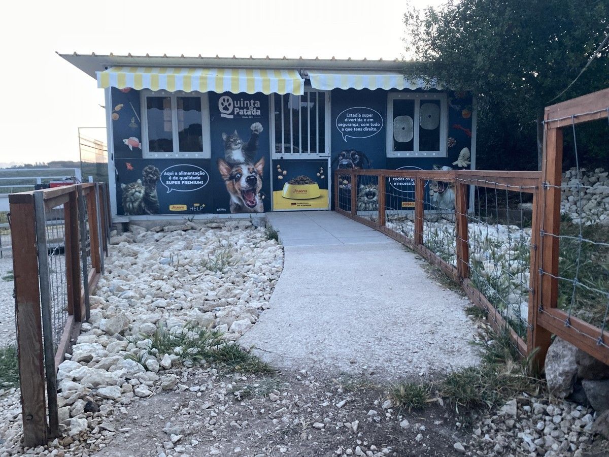 Quinta da Patada Canine Hotel and Dog Owners School