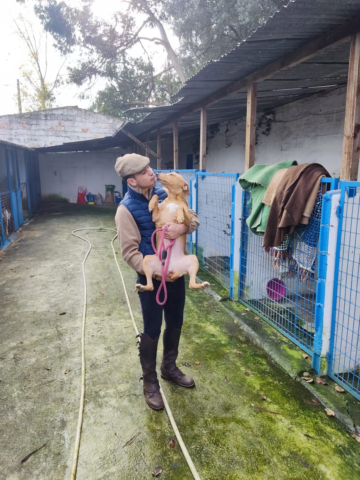 Hotel Canino das Cachoeiras