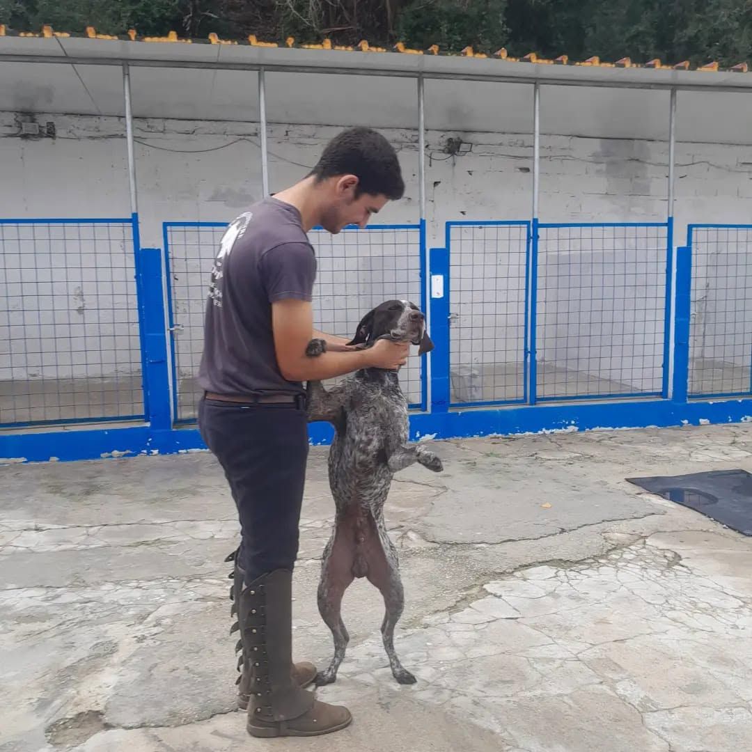 Hotel Canino das Cachoeiras