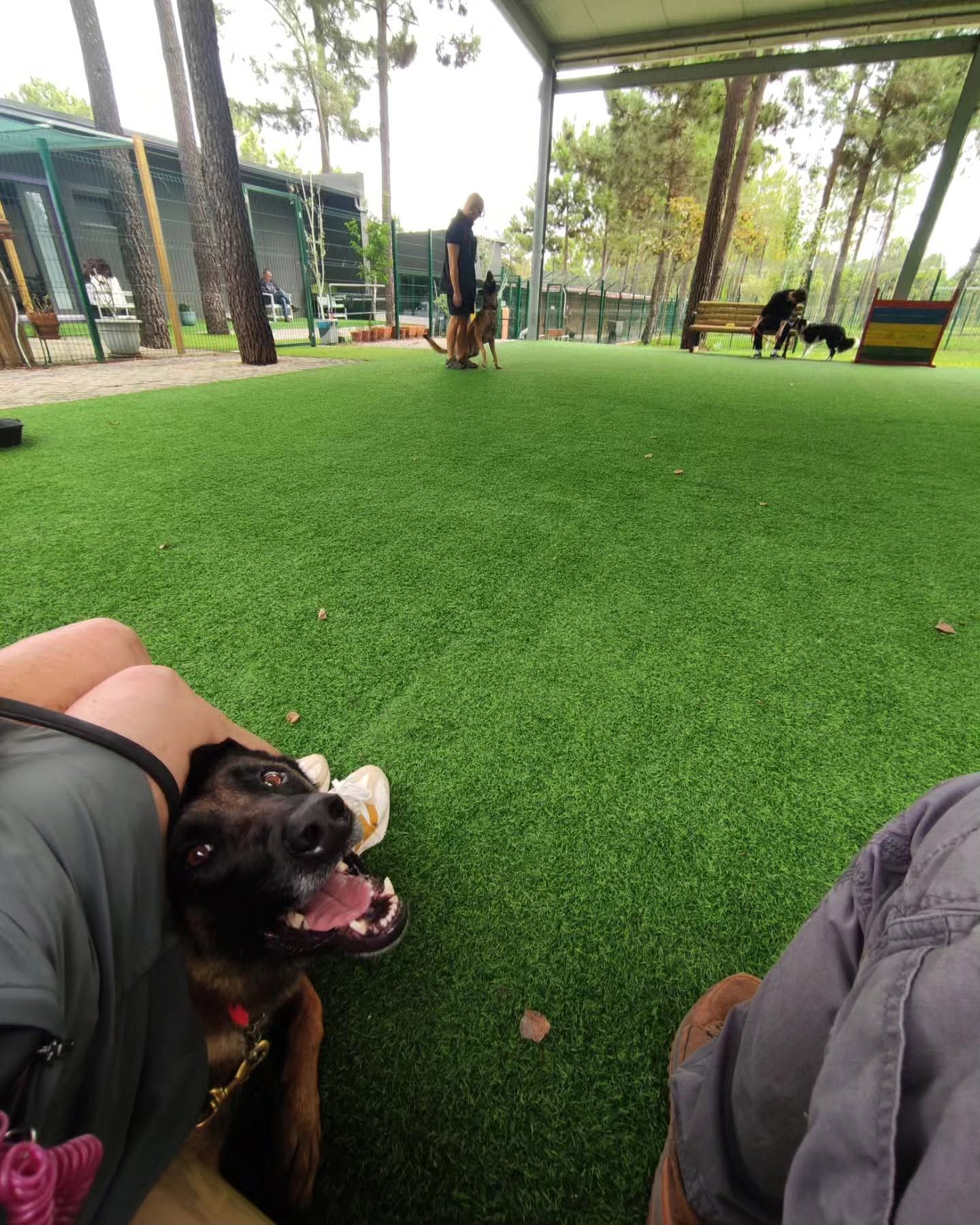 Quinta Verde - Dog Hotel & Lounge