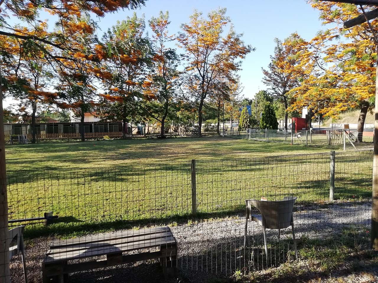 Quinta D'Alcateia