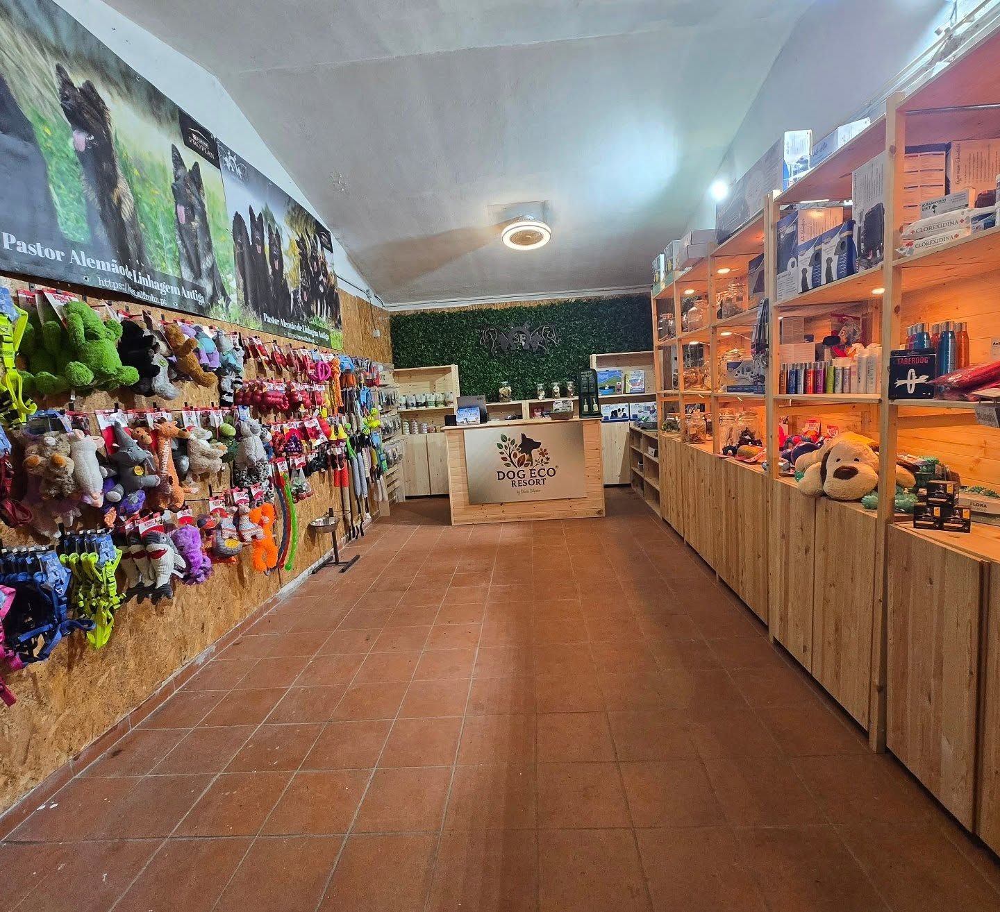 Dog Eco Resort