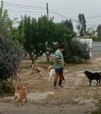 Canis Villa